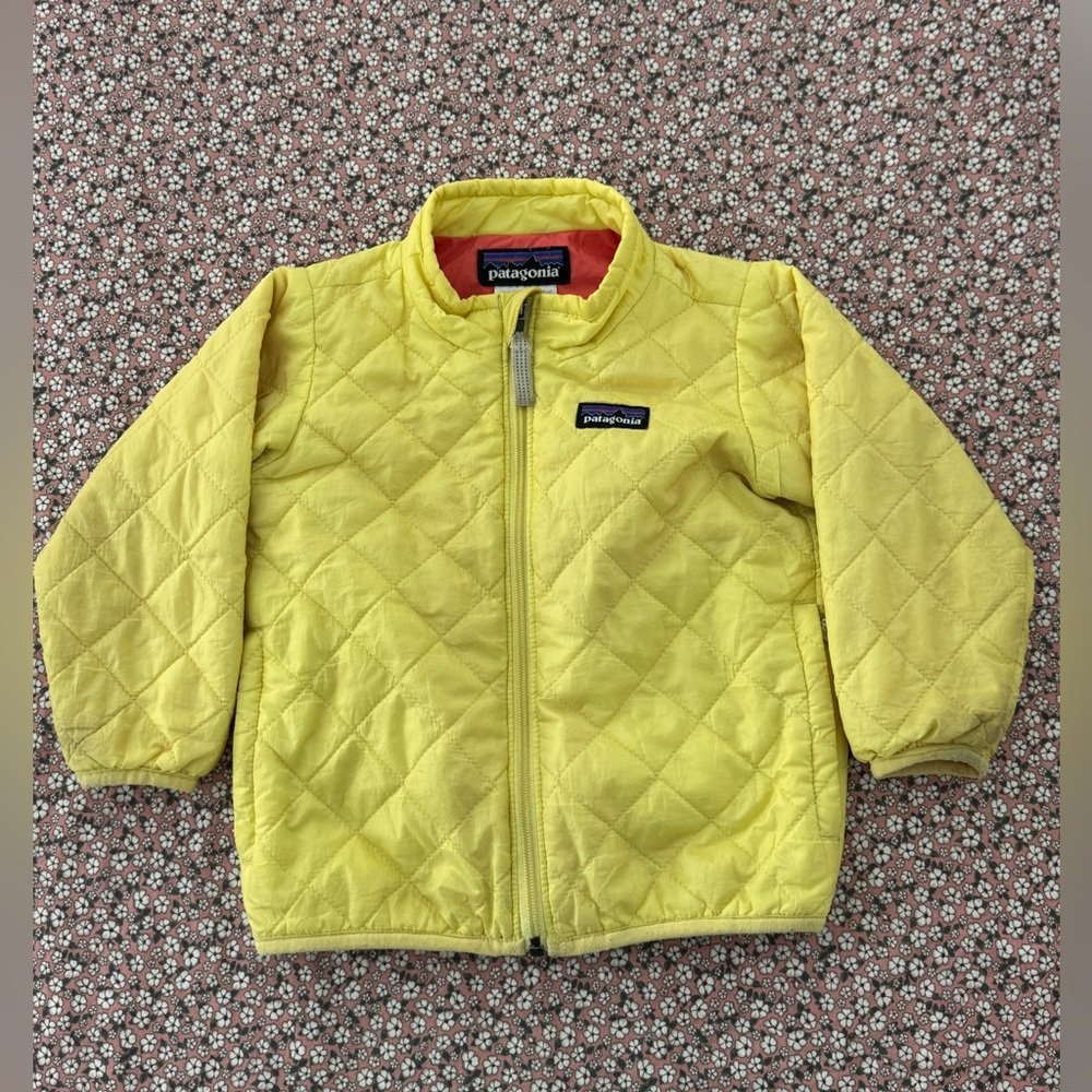 Patagonia nanopuff jacket